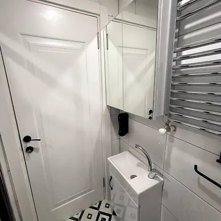公寓 Comfortable And Luxurious Flat 4 伊斯坦布尔
